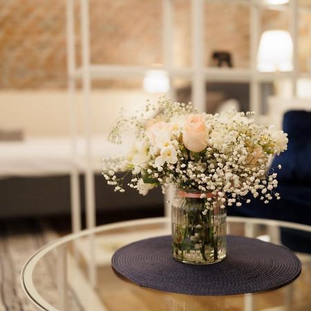Jolie Flat In The Heart Of The City 蒂米什瓦拉 外观 照片