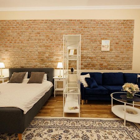 Jolie Flat In The Heart Of The City 蒂米什瓦拉 外观 照片