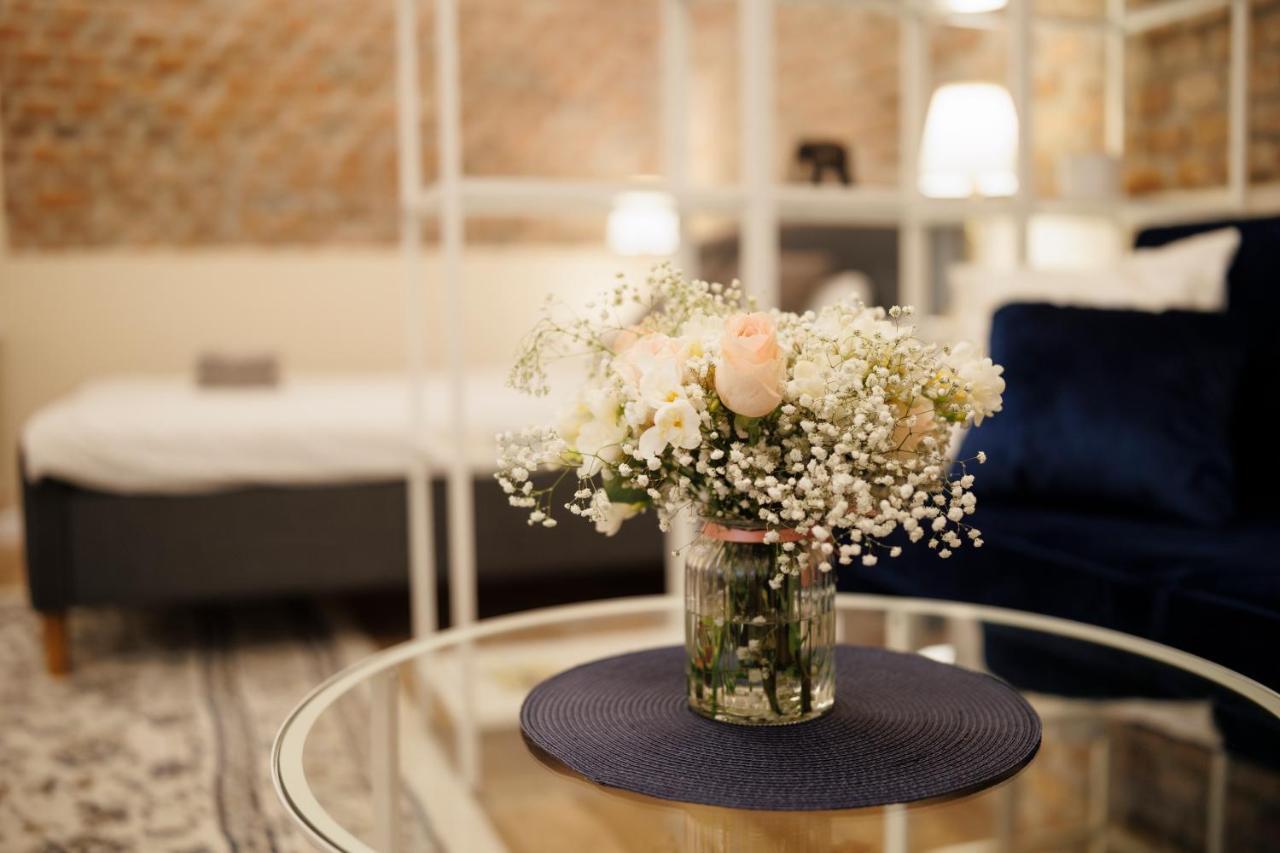 Jolie Flat In The Heart Of The City 蒂米什瓦拉 外观 照片