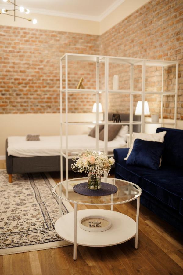 Jolie Flat In The Heart Of The City 蒂米什瓦拉 外观 照片