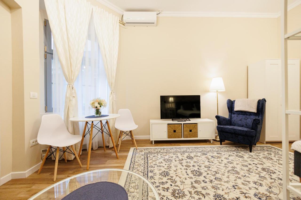 Jolie Flat In The Heart Of The City 蒂米什瓦拉 外观 照片