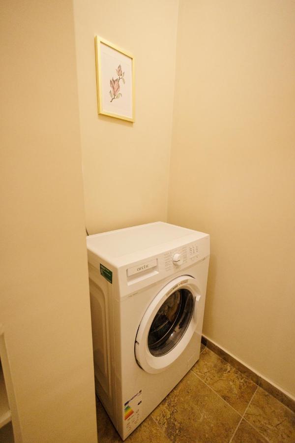 Jolie Flat In The Heart Of The City 蒂米什瓦拉 外观 照片