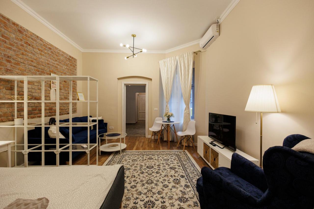 Jolie Flat In The Heart Of The City 蒂米什瓦拉 外观 照片