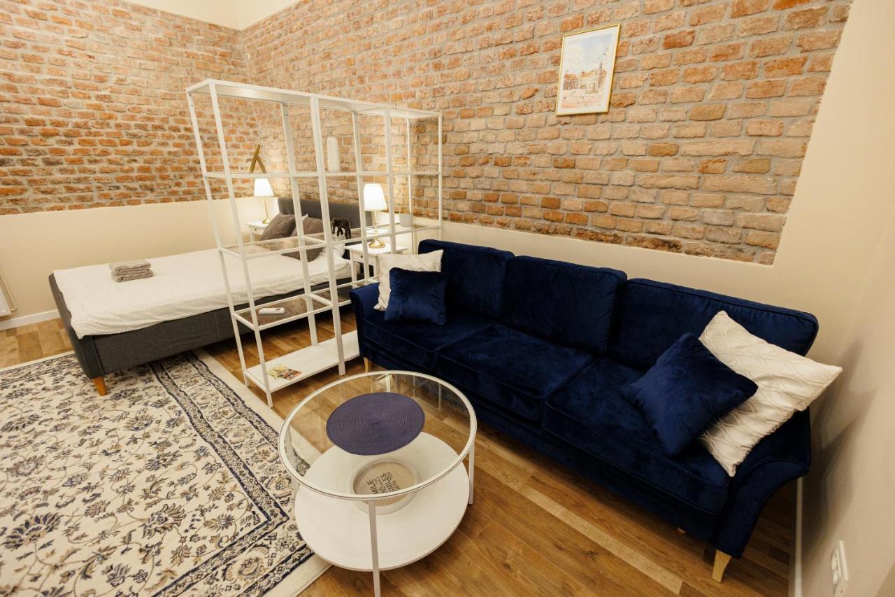 Jolie Flat In The Heart Of The City 蒂米什瓦拉 外观 照片